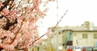 人生，一定要学会释放