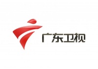 广东卫视2020年广告价格表,怎样在广东卫视投放广告?