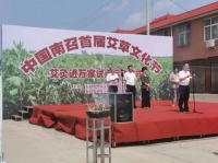 中国·南召首届艾草文化节——艾灸进万家试点活动在南召县石门乡隆重启动