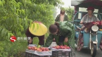 泗阳:最甜的桃送给“最可爱的人”