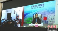 哈尔滨市首次举行国际“云会见” 探索对外交往新模式