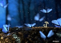 原创             理论上宇宙应存在大量文明，实际上却没有文明联系我们，为什么？
