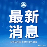 感染科专家：目前商场内的肉蛋鱼、海鲜可放心购买食用，没有证据证明病毒通过消化道传播