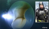 原创             谜团解开！科学家发现巨型水下生物不是“海怪”，是一大袋鱿鱼蛋