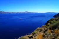 情商提高：与其抱残守缺，不如断然放弃