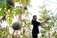 四川自贡西瓜节开幕 享乡土文化大餐