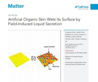 原创             陈根：液体活性皮肤，人造皮肤新研究