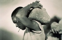 枸杞与它很“投缘”，连喝一周，让肾脏显年轻