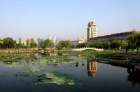 诗歌：为你写诗