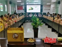 我们的节日·端午：湘北社区开展端午节主题党日活动