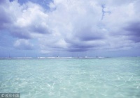 现代国宴礼仪相关