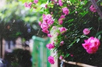 央广《军旅文学之窗》丨浪漫小站