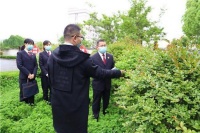 走向我们的小康生活|相信幸福小康就在家门口