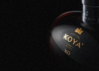 可雅白兰地koya白兰地：白兰地国货之光