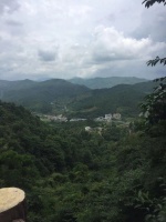 你为什么赚不到钱？看懂了今天的文章，赚钱是水到渠成的