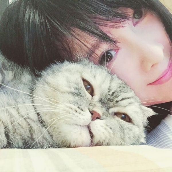 周慧敏晒猫咪合照 