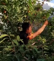 曾红极一时的杨志刚发文感叹，演技派无戏拍令人唏嘘，近照太显老