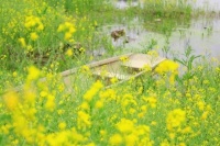 原创             好想你，若有来生，依旧是你；生生世世，永远是你