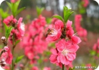 原创             活在当下，现在开始，许多事都还来得及