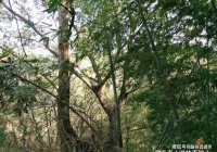 原创             故事：我创业的时候，家里人不借钱给我