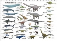 原创             中国发现疑似最重恐龙，体长38米，重达130吨，化石出土于河南