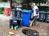 求扩散！苑里保洁阿姨的这张照片要火~