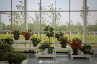 上海崇明将打造“海上花岛”