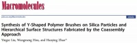 原创             南开赵汉英课题组在SiO2上接Y形聚合物刷及其自组装研究取得重要进展