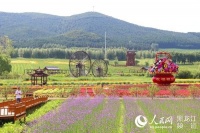 东极之夏·佳木斯三江旅游节暨郊区百合文化季开幕