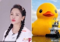 伊能静分享与小黄鸭神似对比照 表白张含韵像猫咪