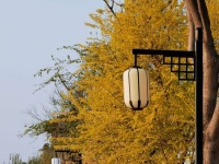 叶金福：多些这样的“邻里守望队”