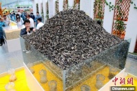 一位“非职业”主播心中的“小木耳”与“大产业”