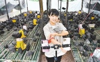 网络带货 为农产品插上“云翅膀”