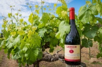 【雷盛红酒】葡萄酒中的单宁是什么？