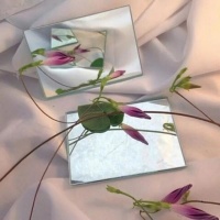 原创             有韵味的小短句：不是所有的鱼都会生活在同一片海里