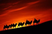 【庄碰辉】生活的坚持