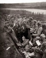 原创             在天使歌咏之夜，让枪炮沉默下来