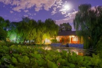 清华大学窦桂梅：当今小学教师急需提升自身人文和学科专业素养