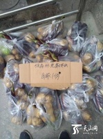 乌鲁木齐：1个雨夜+4吨免费菜=上千户居民感动