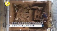 历时3年！陕西成功修复2800年前的青铜豪车