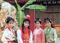 原创             宝玉与袭人初试有多违背常理？那年宝玉才9岁