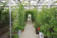 群培：“搬”出新生活，走上致富路