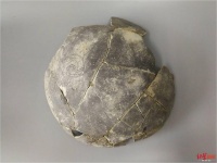 三星堆周边联合遗址学术争鸣：出土的到底是龙凤纹盘，还是虎凤纹盘？