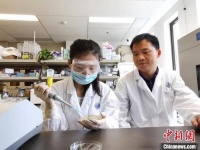中国学者新研究：为细菌穿上纳米涂层“外衣” 按需复活