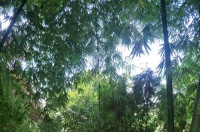 青春微忧，用稚嫩的笔触写就这个世界的零光片羽