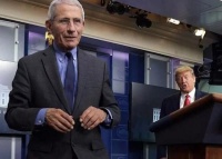 抹黑自己人？美国电视台宣扬阴谋论，称新冠病毒是福奇“制造”的