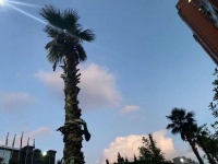 不醉浮生醉于你，专心爱即是信仰