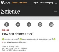 陈根：毛发如何磨钝了剃须刀？