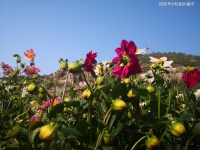 刚入职年薪156万的博士——知识真有大用！