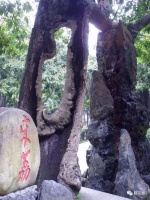 西禅寺宋荔的几回事